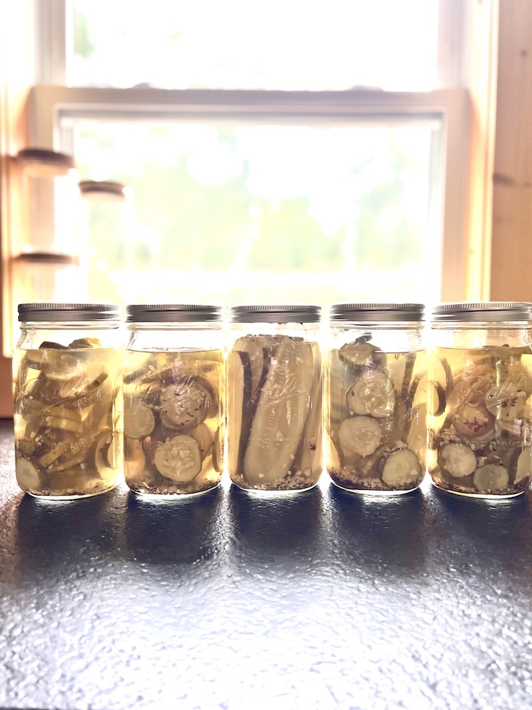 Canned Pickles arranged by a window