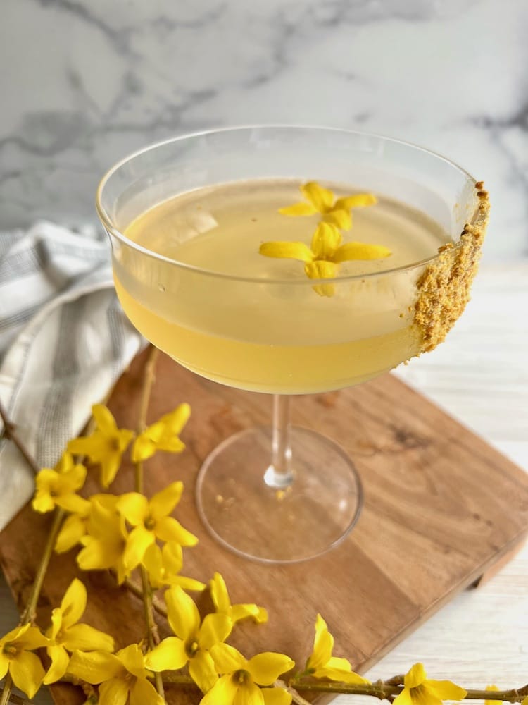 The Hangry Bee's Knees Cocktail in a coupe glass with forsythia flowers